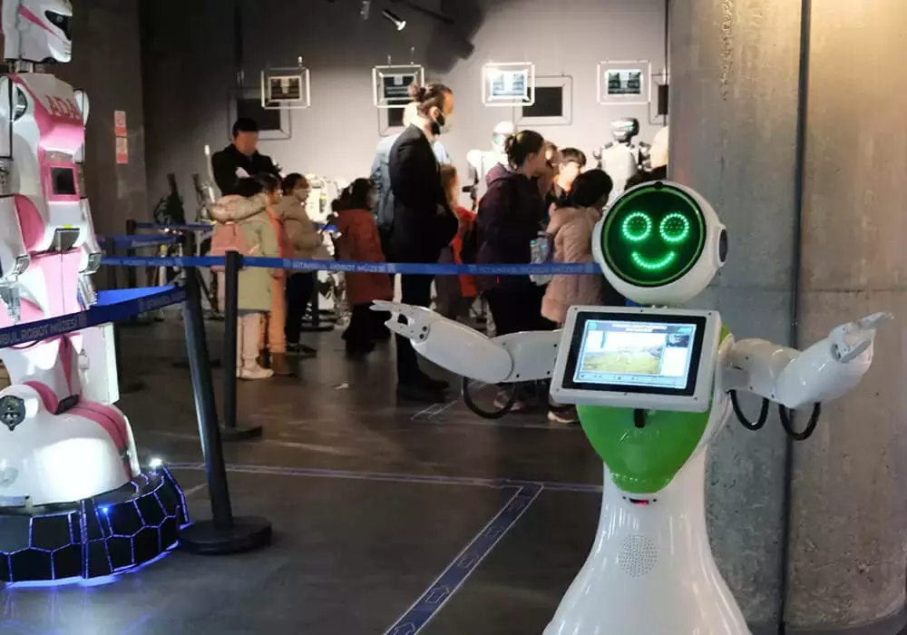 Billet Musée des robots d'Istanbul - 2