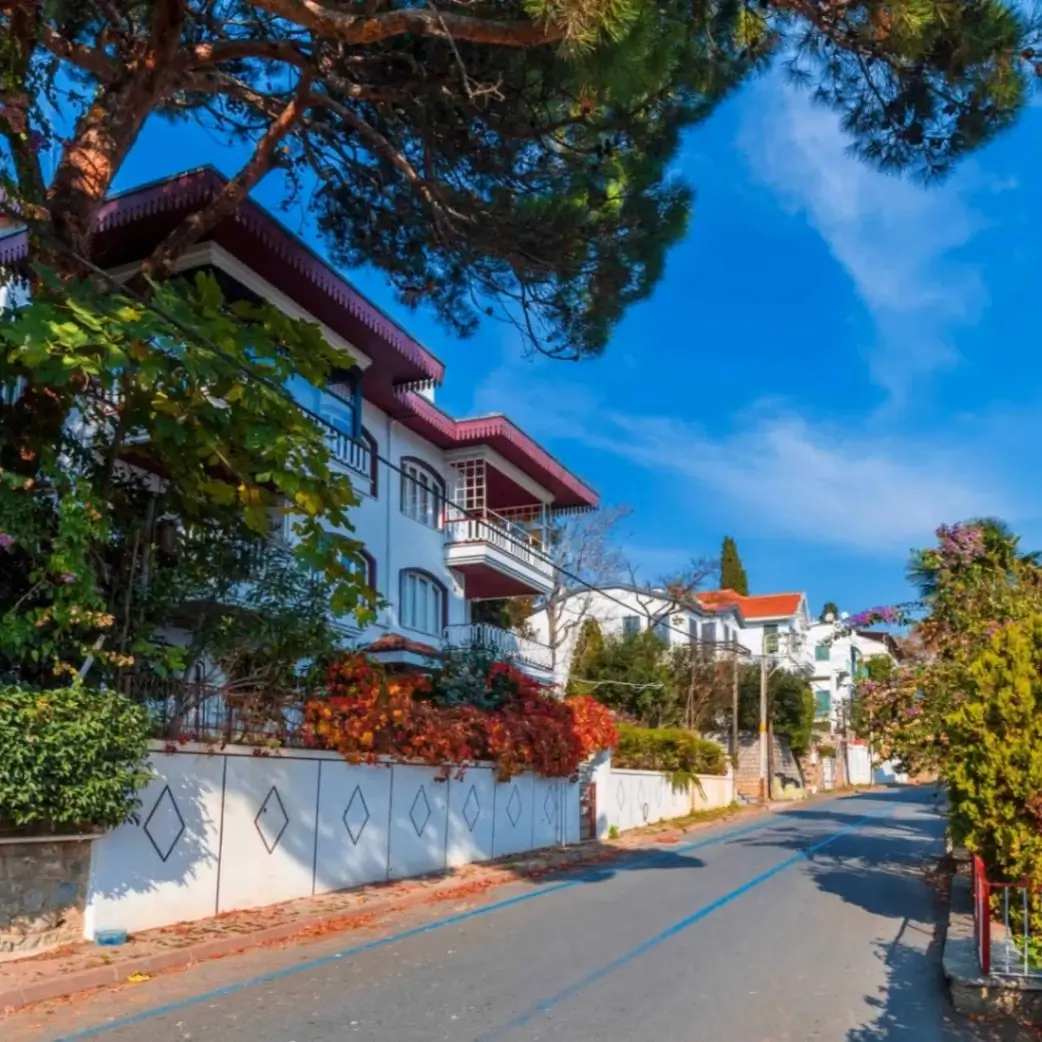 Tour gastronomique des 3 îles : un voyage de rêve dans les îles d'Istanbul