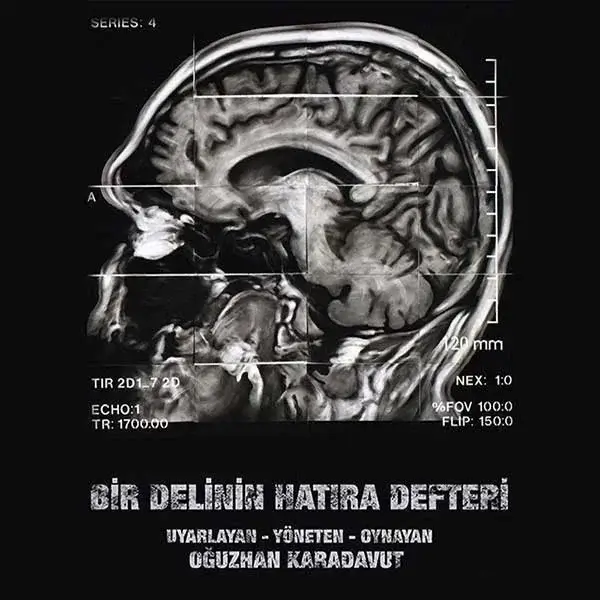 Bir Delinin Hatıra Defteri - Oğuzhan Karadavut