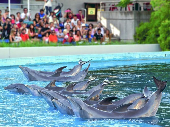 Zoo Aquarium Madrid skip-the-line tickets