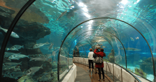 Barcelona Aquarium Bileti - 1