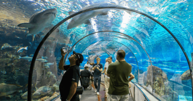 Barcelona Aquarium Bileti - 2