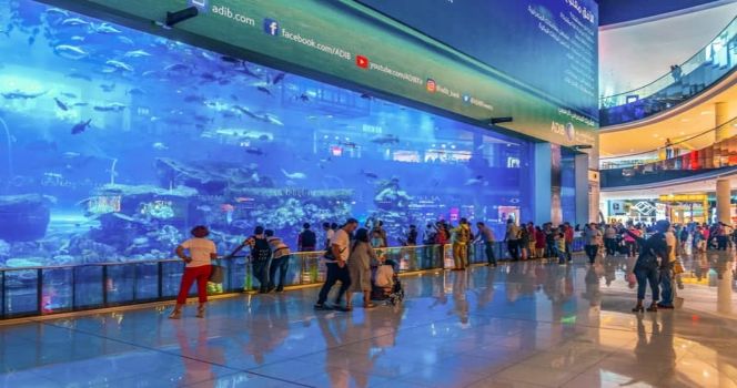 Dubai Aquarium & Underwater Zoo Bileti - 3