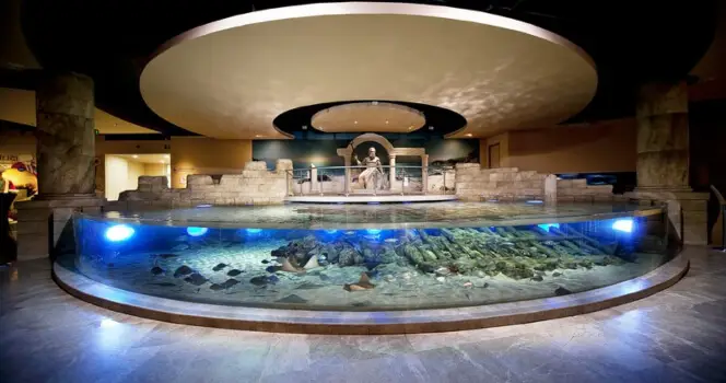 Стамбульский аквариум Флория: билеты Билет - 2