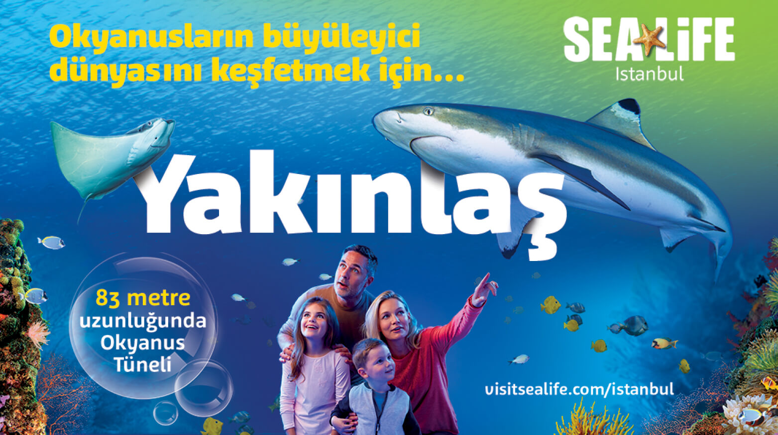 Sea Life Akvaryum Bileti - 2