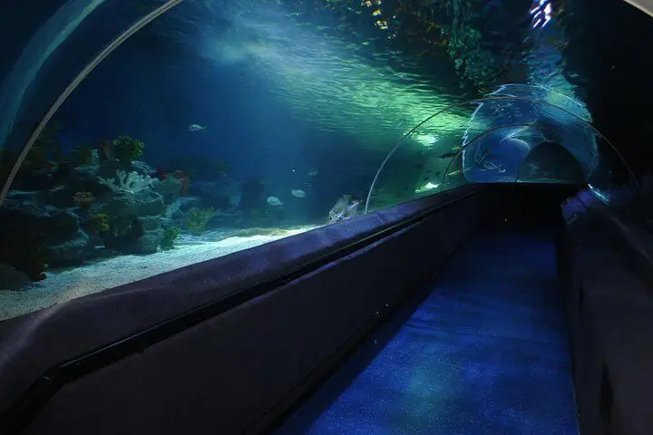 Meeresleben-Aquarium Ticket – 5