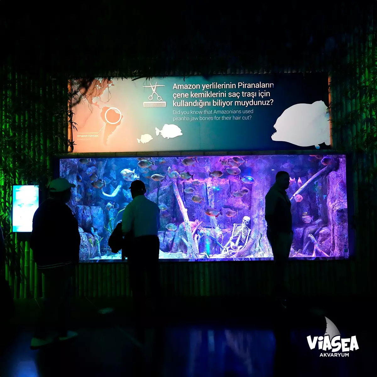 Billet Aquarium Viasea - 9