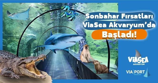 Viasea Aquarium Ticket - 1