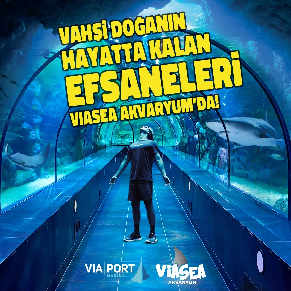 Viasea-Aquarium - 0