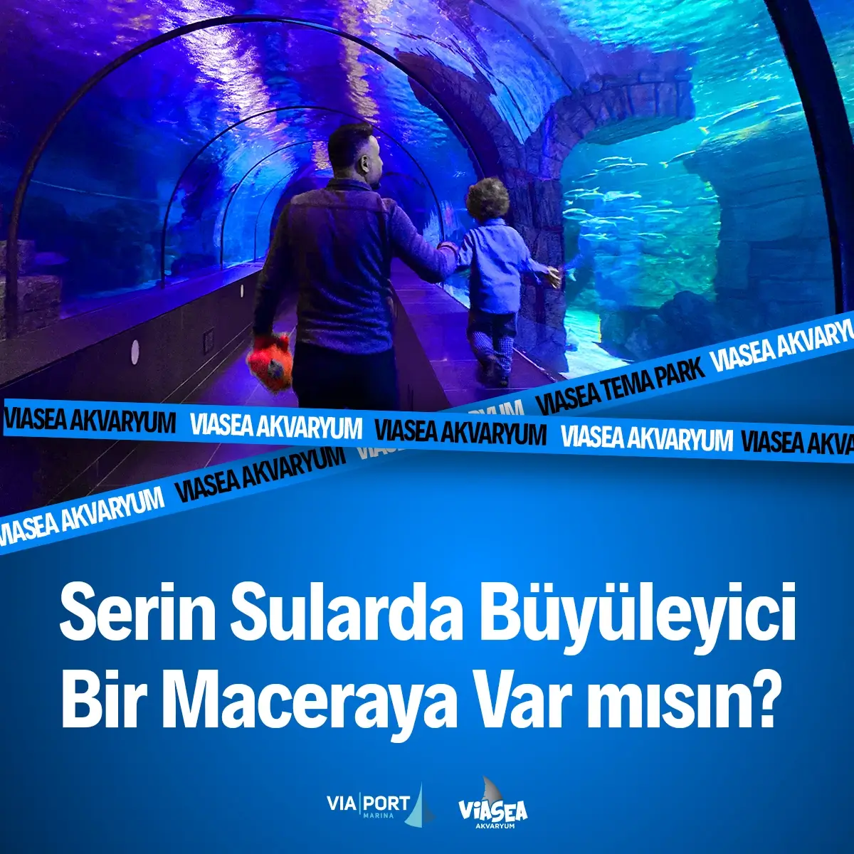 Viasea аквариумы - 0